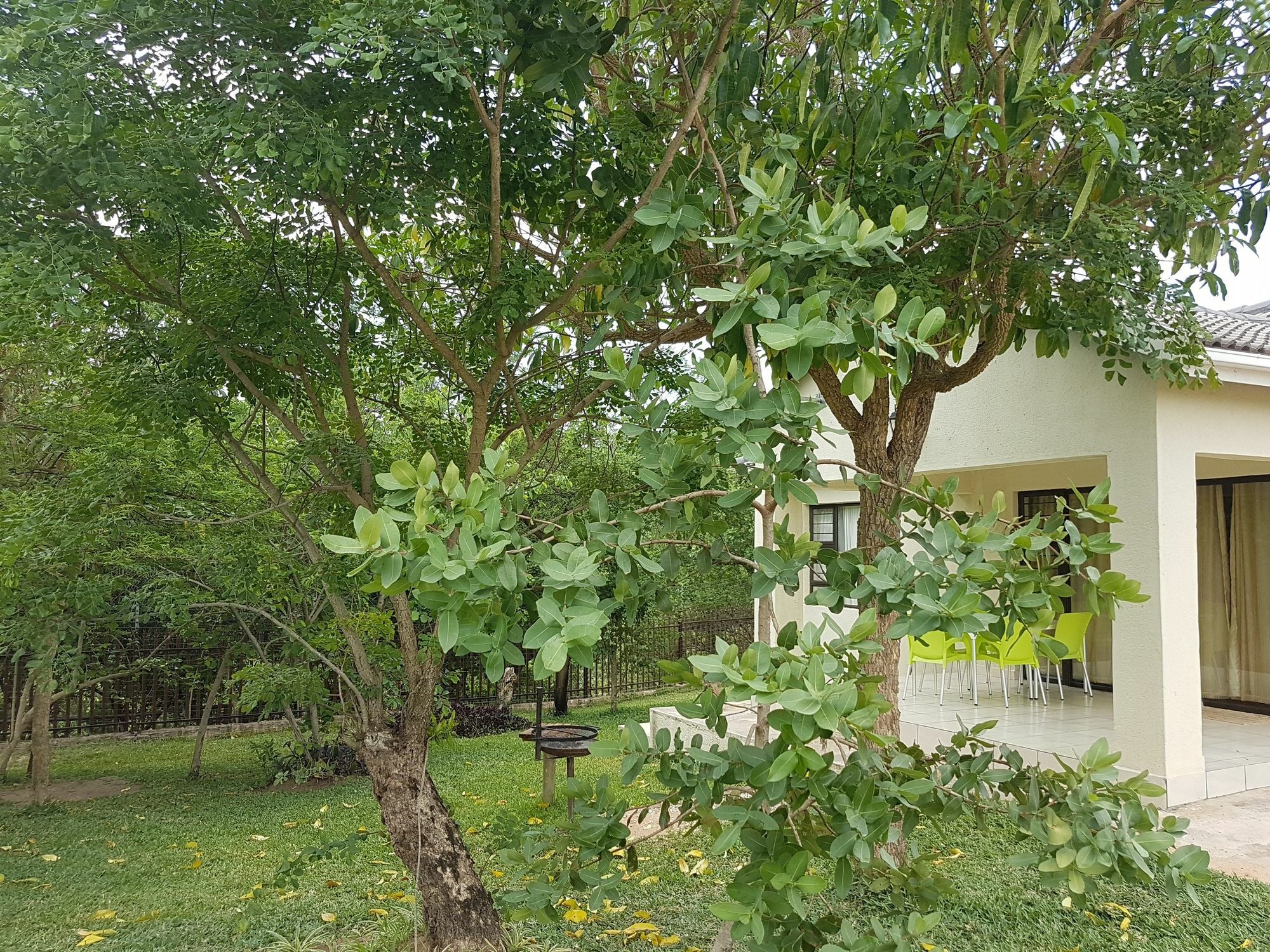 Sand River Cottages Hazyview Buitenkant foto